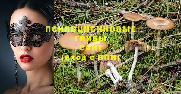 ПСИЛОЦИБИНОВЫЕ ГРИБЫ Володарск