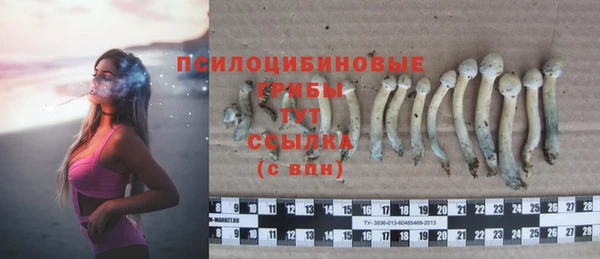 ПСИЛОЦИБИНОВЫЕ ГРИБЫ Володарск