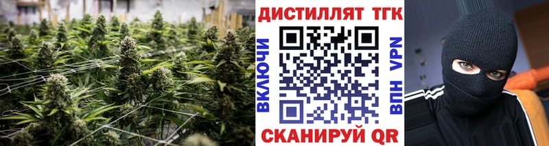 Дистиллят ТГК Wax  Елец 