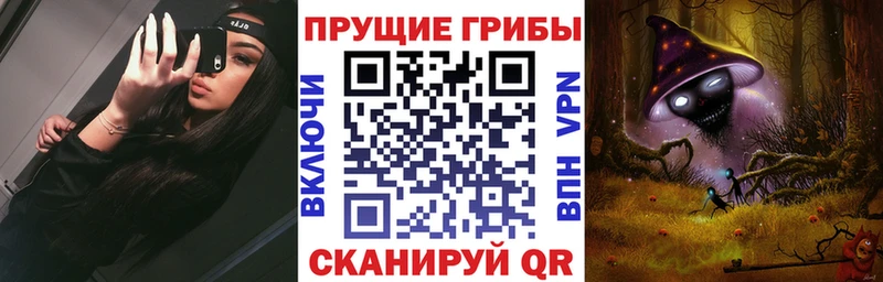 купить наркоту  Елец  Галлюциногенные грибы Psilocybe 